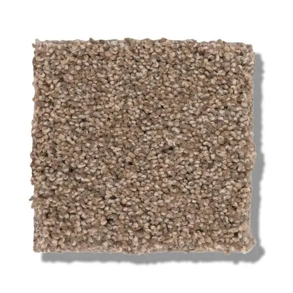 Caress - Cozy Harbor II - Carpet Shaw Floors