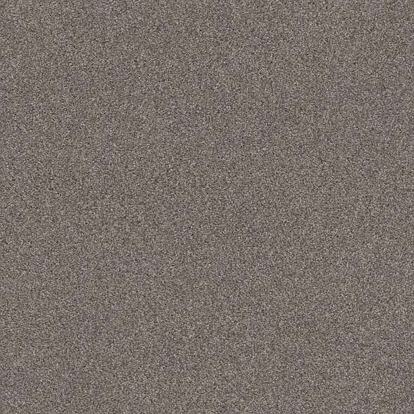 Caress - Cozy Harbor II - Carpet Shaw Floors