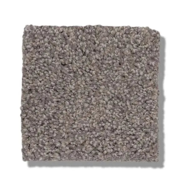 Caress - Cozy Harbor I - Carpet Shaw Floors