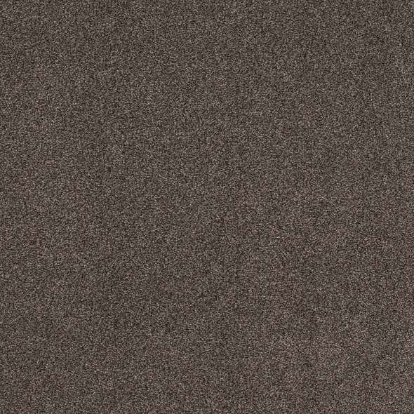 Caress - Cozy Harbor I - Carpet Shaw Floors