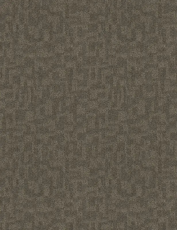 Broadloom - Forge - Carpet Philadelphia Commercial