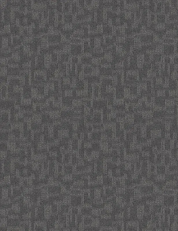 Broadloom - Forge - Carpet Philadelphia Commercial