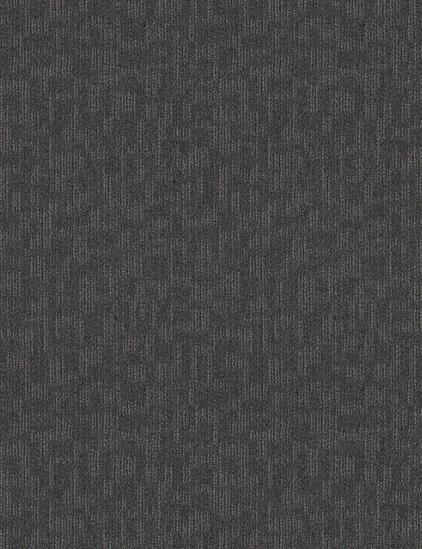 Broadloom - Forge - Carpet Philadelphia Commercial