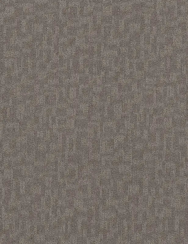 Broadloom - Forge - Carpet Philadelphia Commercial