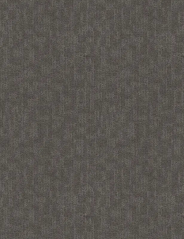 Broadloom - Forge - Carpet Philadelphia Commercial