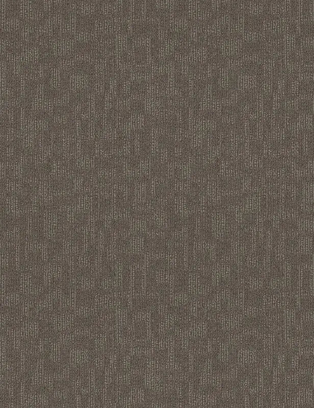 Broadloom - Forge - Carpet Philadelphia Commercial