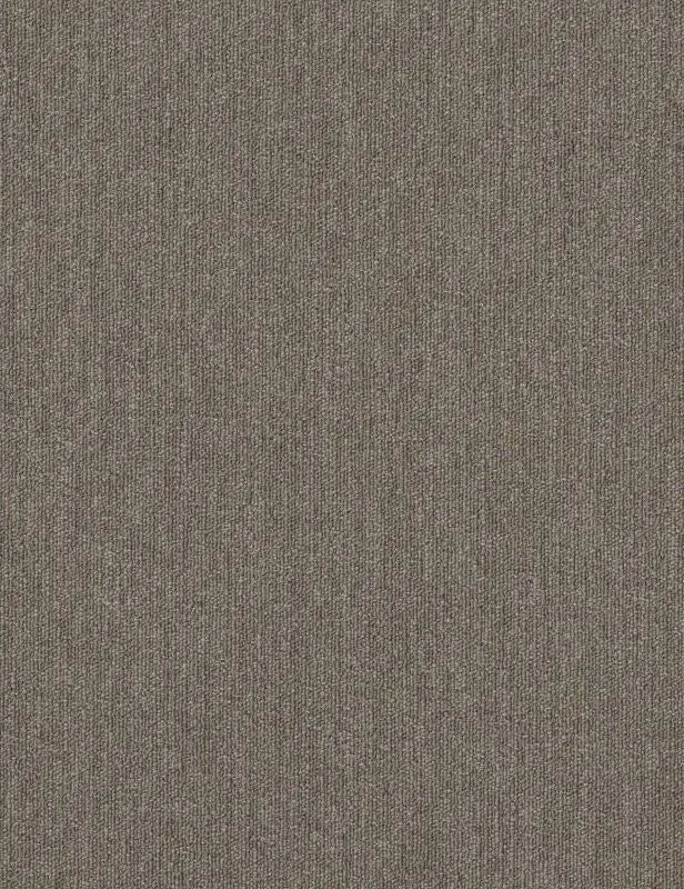 Broadloom - Profusion 26 - Carpet Philadelphia Commercial