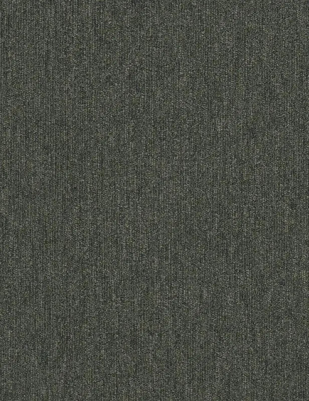 Broadloom - Profusion 26 - Carpet Philadelphia Commercial
