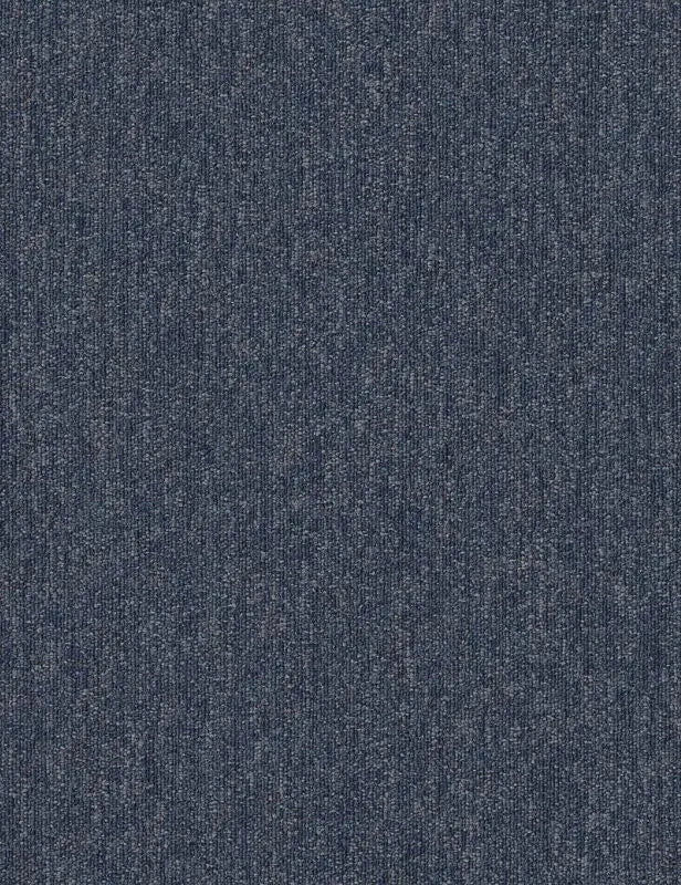 Broadloom - Profusion 26 - Carpet Philadelphia Commercial