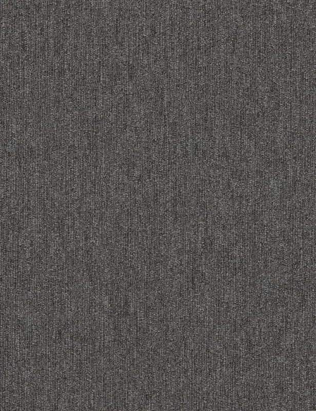 Broadloom - Profusion 26 - Carpet Philadelphia Commercial