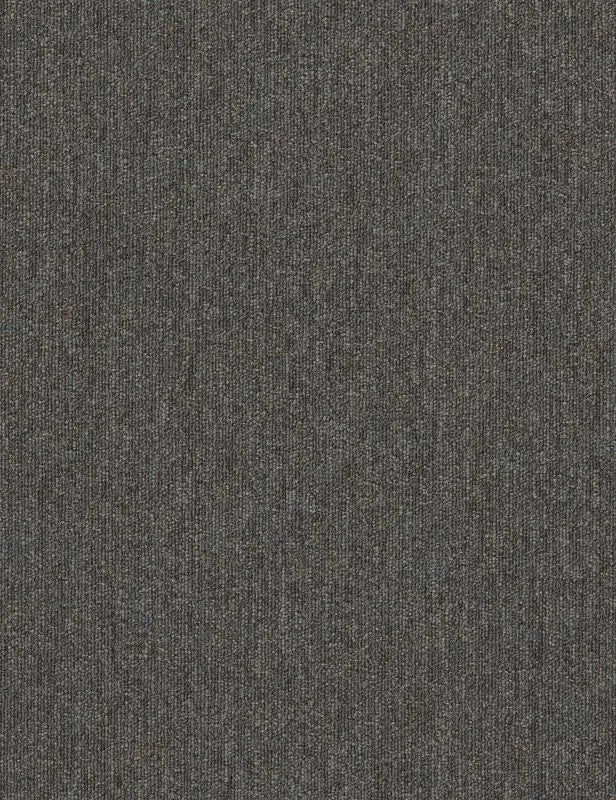 Broadloom - Profusion 26 - Carpet Philadelphia Commercial