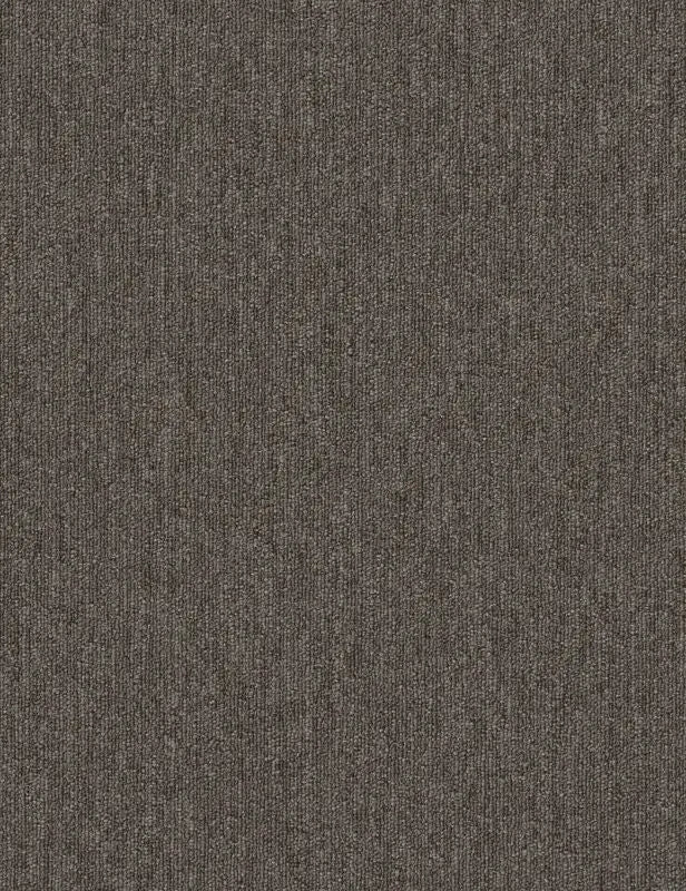 Broadloom - Profusion 26 - Carpet Philadelphia Commercial