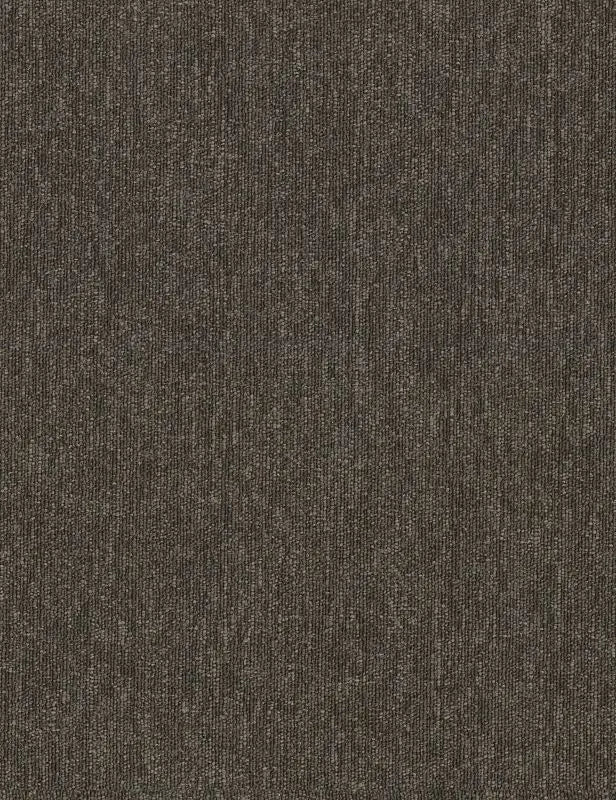 Broadloom - Profusion 26 - Carpet Philadelphia Commercial