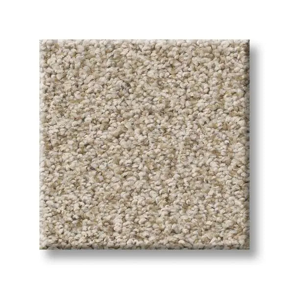 Colorwall - Tweed Comfort I - Carpet Shaw Floors