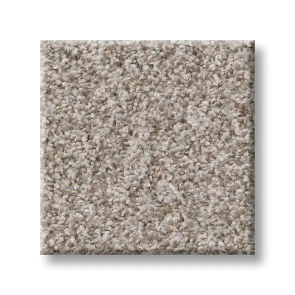 Colorwall - Tweed Comfort I - Carpet Shaw Floors