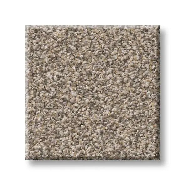 Colorwall - Tweed Comfort I - Carpet Shaw Floors
