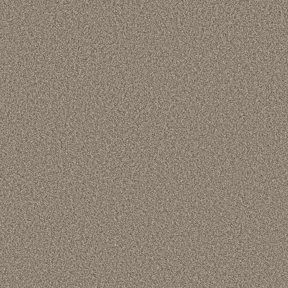 Colorwall - Tweed Comfort I - Carpet Shaw Floors