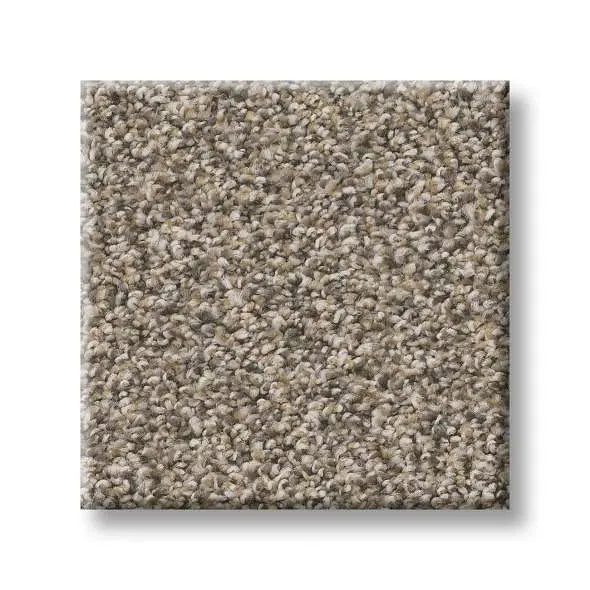 Colorwall - Tweed Comfort I - Carpet Shaw Floors