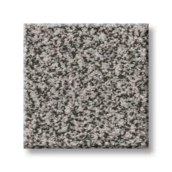 Colorwall - Tweed Comfort I - Carpet Shaw Floors
