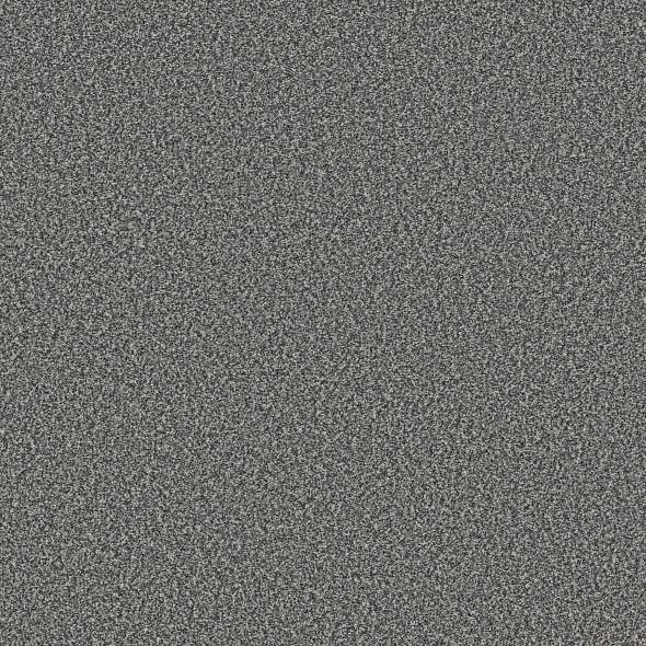 Colorwall - Tweed Comfort I - Carpet Shaw Floors