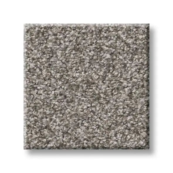 Colorwall - Tweed Comfort I - Carpet Shaw Floors