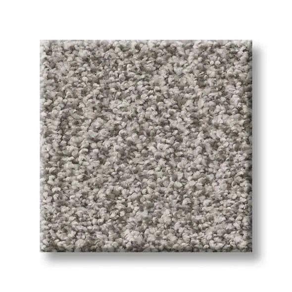 Colorwall - Tweed Comfort I - Carpet Shaw Floors