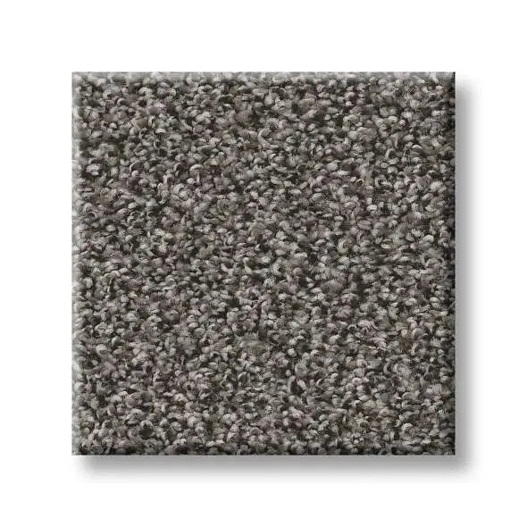 Colorwall - Tweed Comfort I - Carpet Shaw Floors