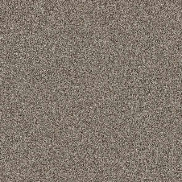 Colorwall - Tweed Comfort I - Carpet Shaw Floors
