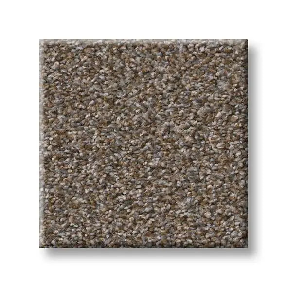 Colorwall - Tweed Comfort I - Carpet Shaw Floors