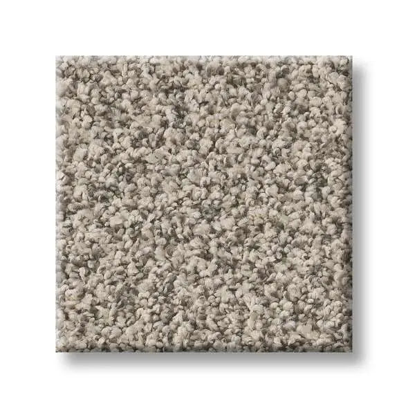 Colorwall - Tweed Comfort II - Carpet Shaw Floors