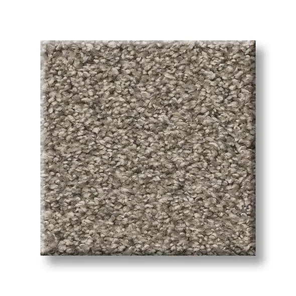 Colorwall - Tweed Comfort II - Carpet Shaw Floors
