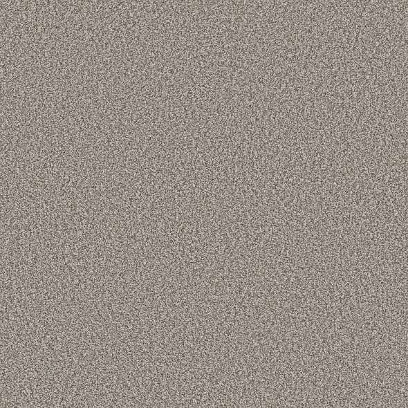 Colorwall - Tweed Comfort II - Carpet Shaw Floors