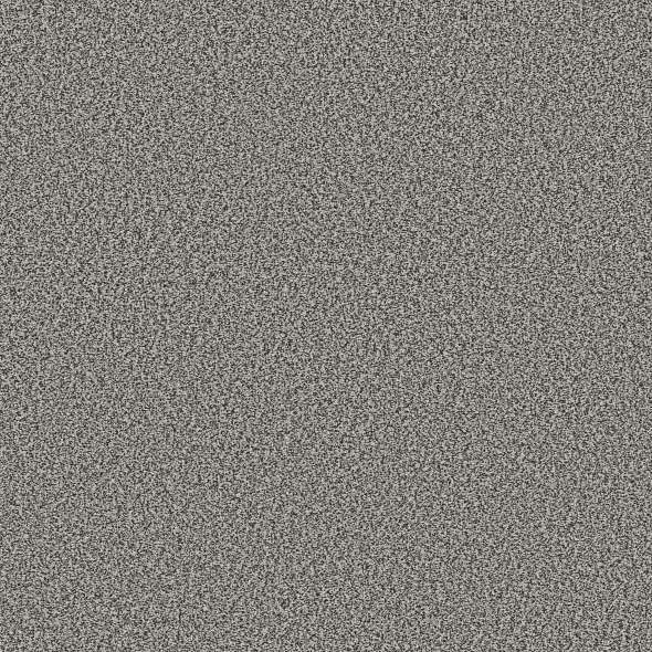 Colorwall - Tweed Comfort II - Carpet Shaw Floors