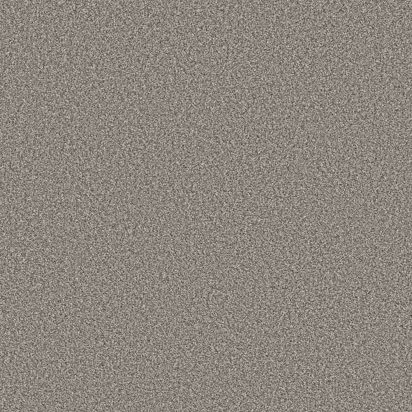 Colorwall - Tweed Comfort II - Carpet Shaw Floors