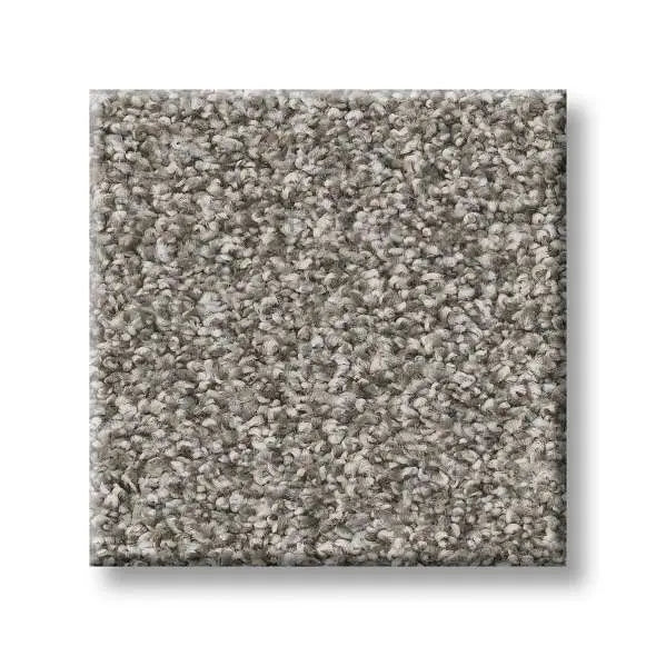 Colorwall - Tweed Comfort II - Carpet Shaw Floors