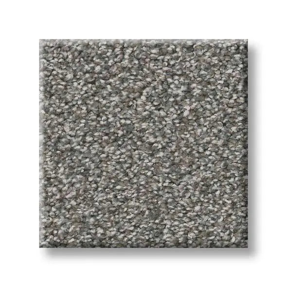 Colorwall - Tweed Comfort II - Carpet Shaw Floors