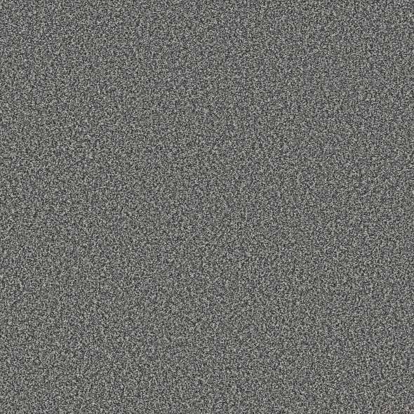 Colorwall - Tweed Comfort II - Carpet Shaw Floors