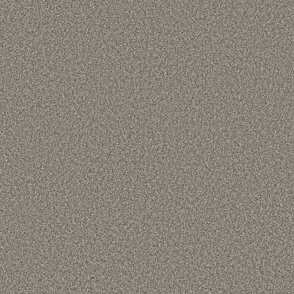 Colorwall - Tweed Comfort II - Carpet Shaw Floors