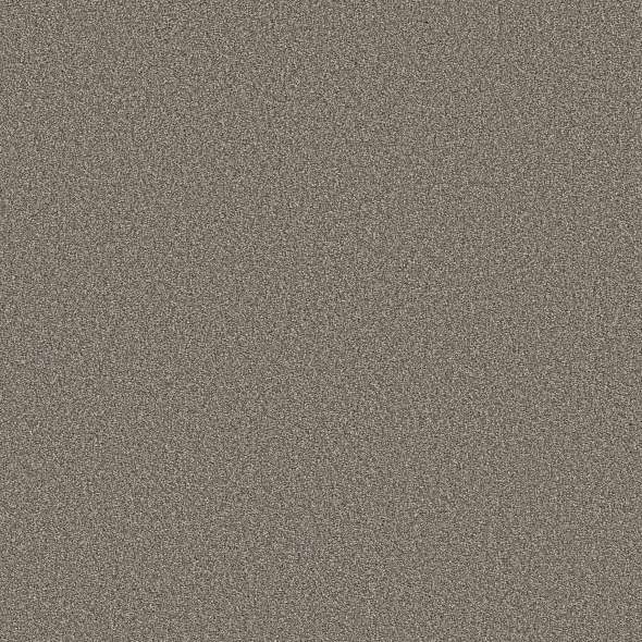 Colorwall - Tweed Comfort II - Carpet Shaw Floors