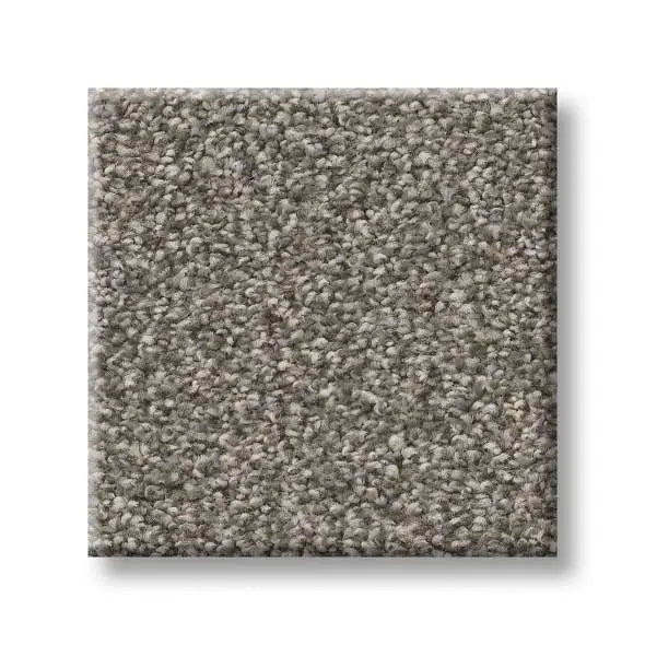 Colorwall - Tweed Comfort II - Carpet Shaw Floors