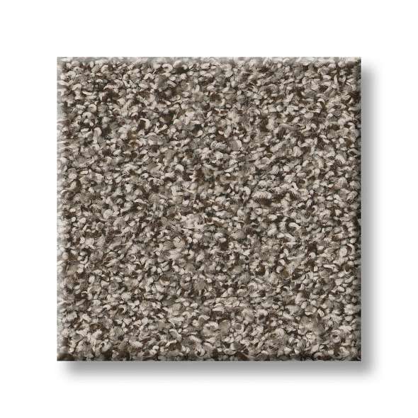 Colorwall - Tweed Comfort II - Carpet Shaw Floors