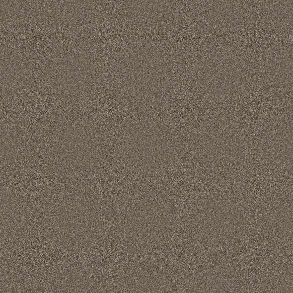 Colorwall - Tweed Comfort II - Carpet Shaw Floors
