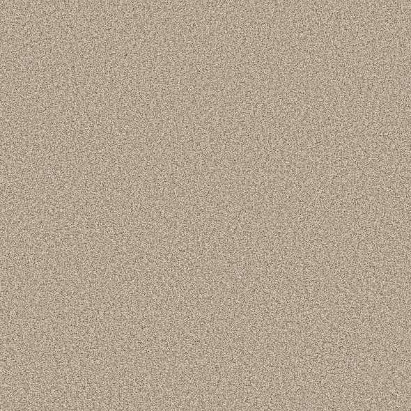 Colorwall - Tweed Comfort Blue - Carpet Shaw Floors