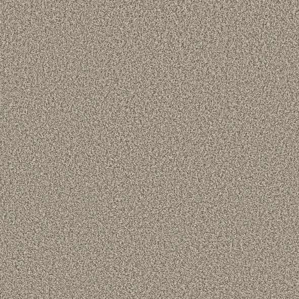 Colorwall - Tweed Comfort Blue - Carpet Shaw Floors