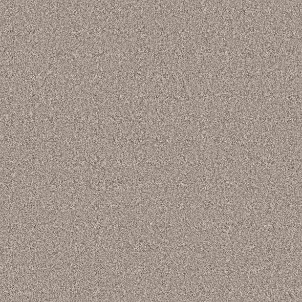 Colorwall - Tweed Comfort Blue - Carpet Shaw Floors