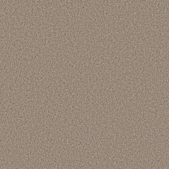 Colorwall - Tweed Comfort Blue - Carpet Shaw Floors