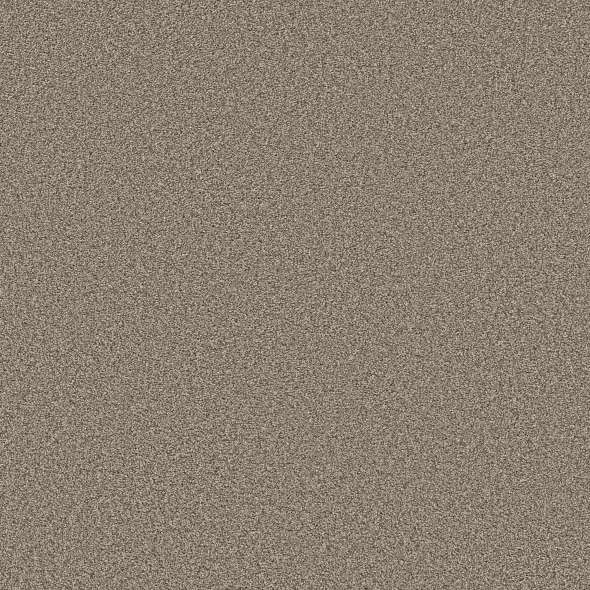 Colorwall - Tweed Comfort Blue - Carpet Shaw Floors