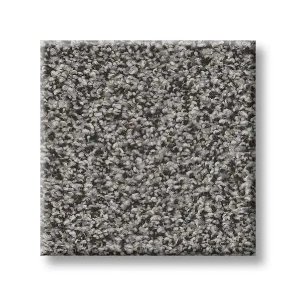 Colorwall - Tweed Comfort Blue - Carpet Shaw Floors