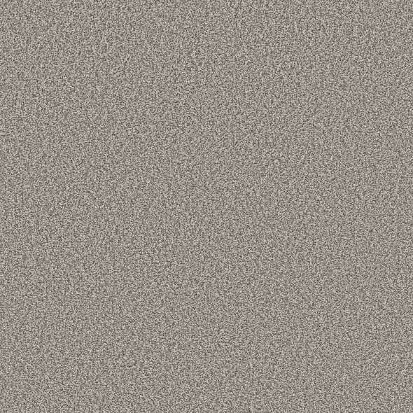 Colorwall - Tweed Comfort Blue - Carpet Shaw Floors