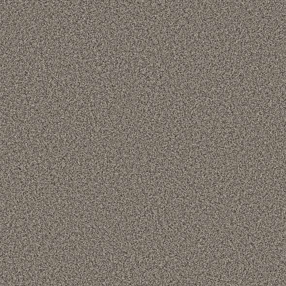 Colorwall - Tweed Comfort Blue - Carpet Shaw Floors